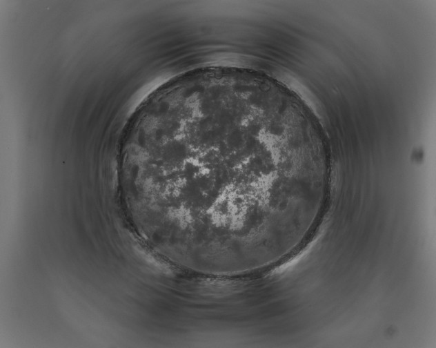 X0000090620829200707311242