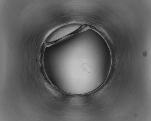 X0000090620830200707311242