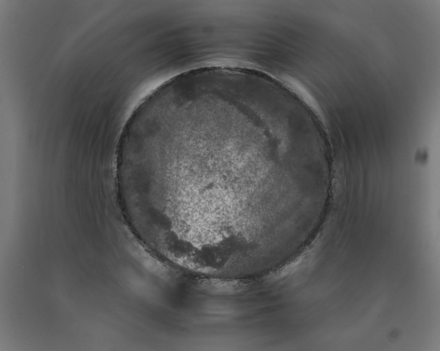 X0000090620831200707311242