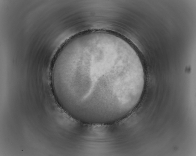 X0000090620832200707311242