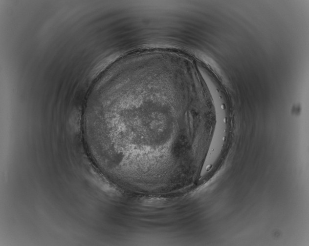 X0000090620833200707311242
