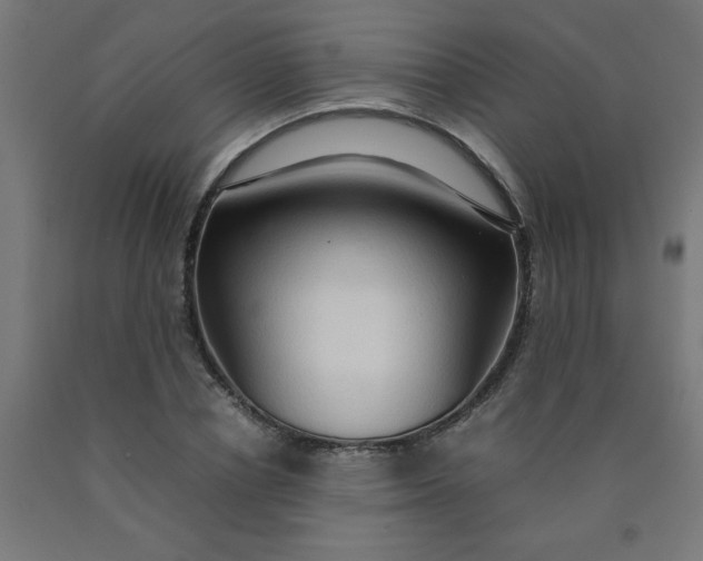 X0000090620834200707311242