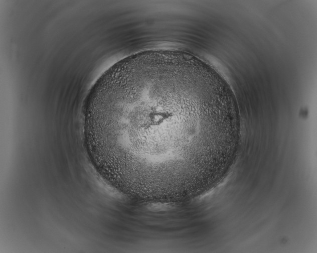 X0000090620835200707311242