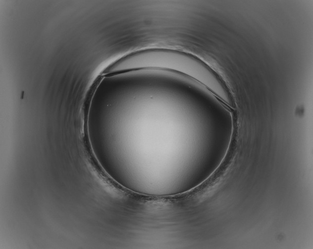 X0000090620838200707311242