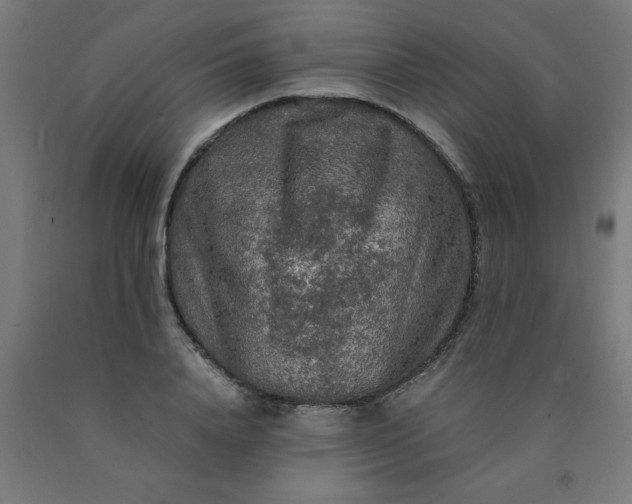 X0000090620840200707311242