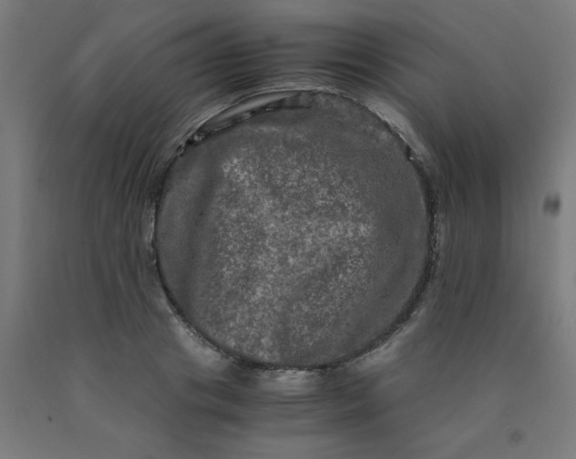 X0000090620841200707311242