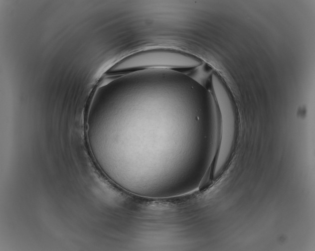 X0000090620842200707311242