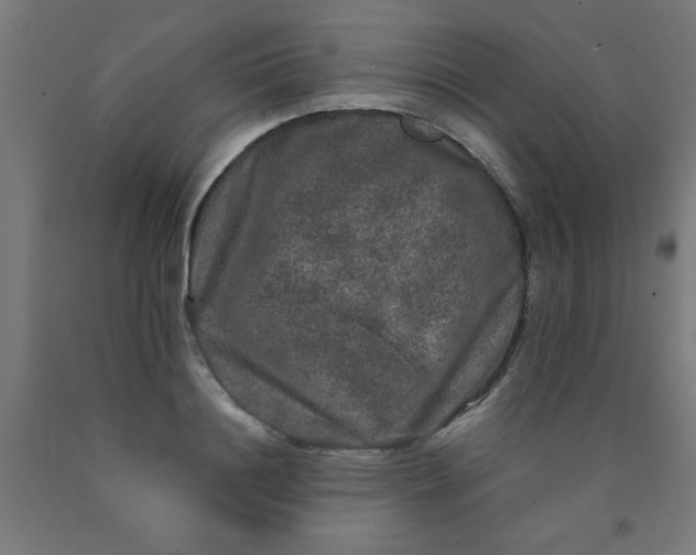 X0000090620844200707311242