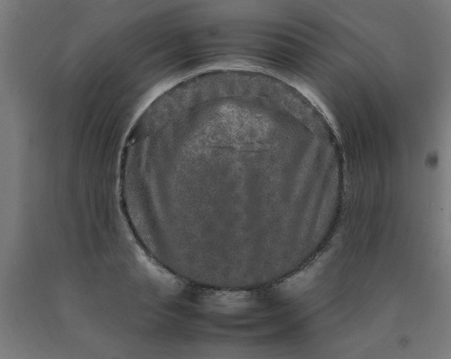 X0000090620845200707311242