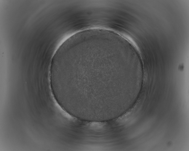 X0000090620847200707311242