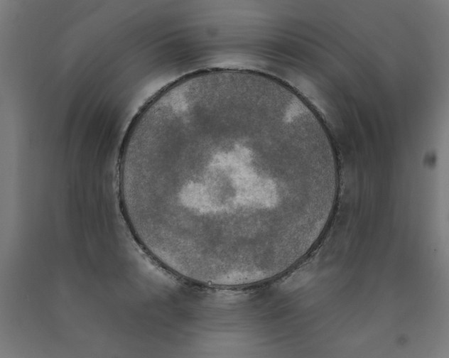 X0000090620848200707311242