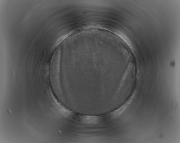 X0000090620849200707311242