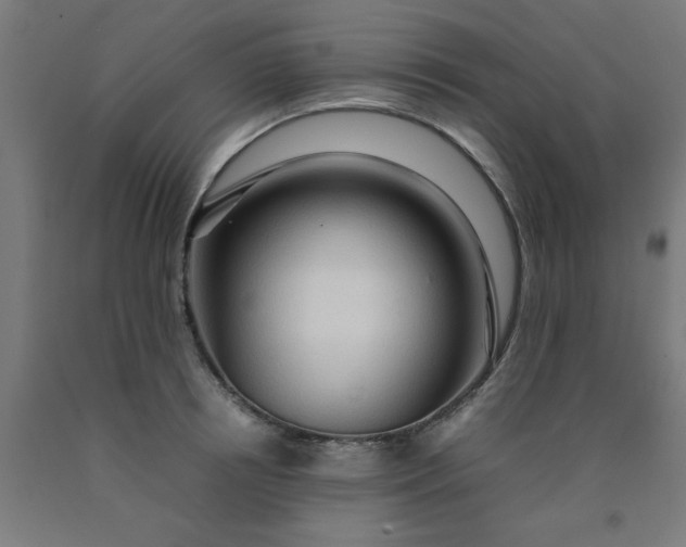 X0000090620850200707311242
