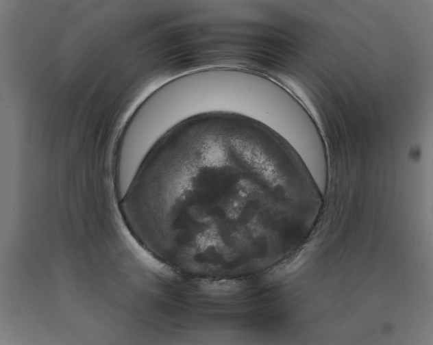 X0000090620851200707311242