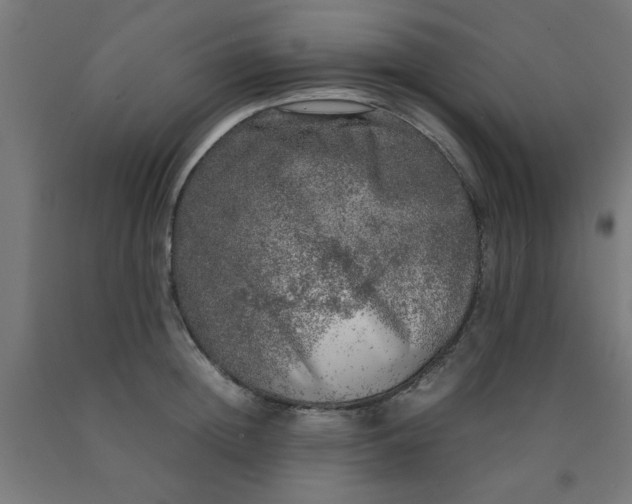 X0000090620852200707311242