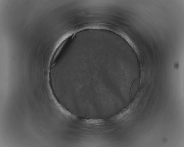 X0000090620853200707311242