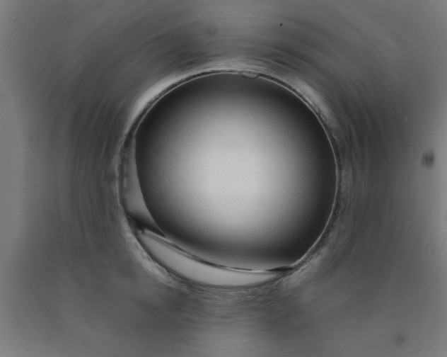 X0000090620854200707311242