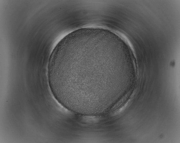 X0000090620855200707311242