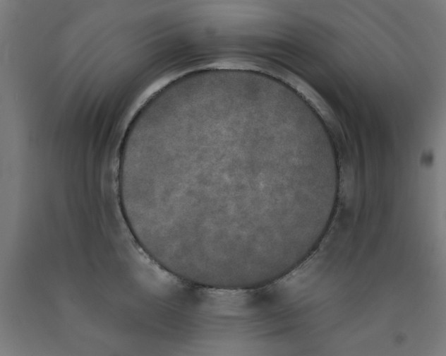 X0000090620856200707311242
