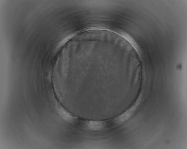 X0000090620857200707311242