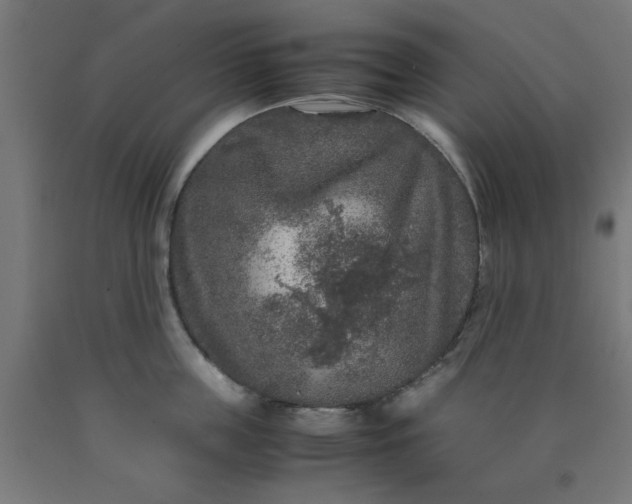 X0000090620859200707311242