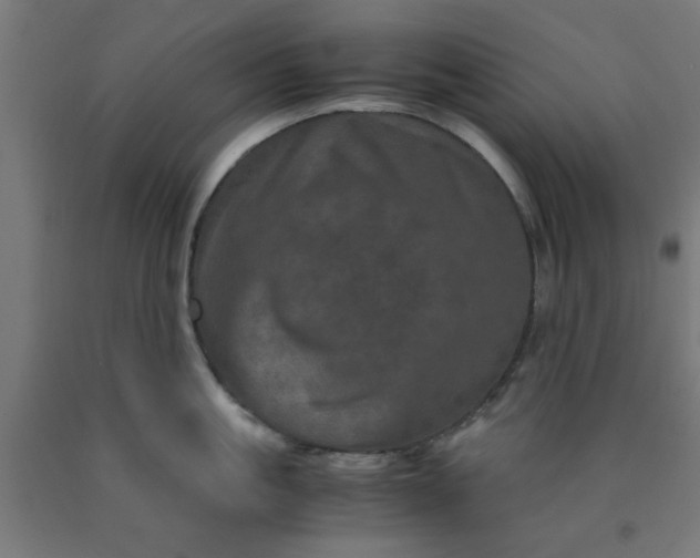 X0000090620861200707311242