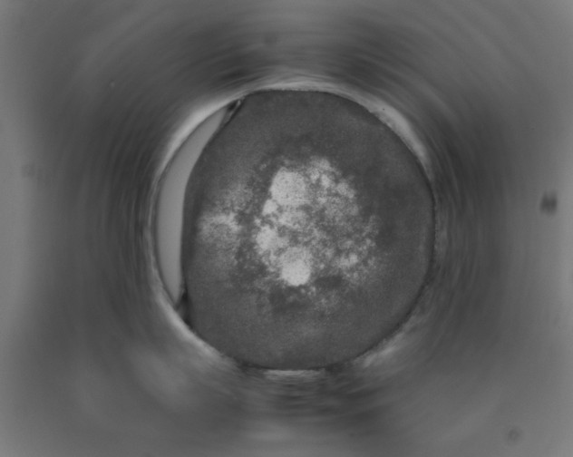 X0000090620863200707311242
