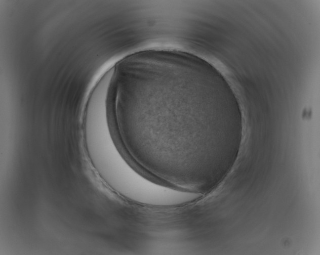 X0000090620864200707311242