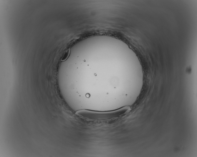 X0000090620865200707311242