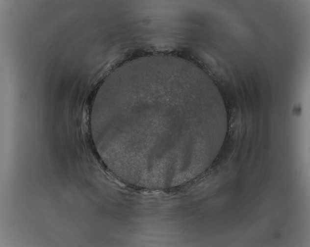 X0000090620866200707311242