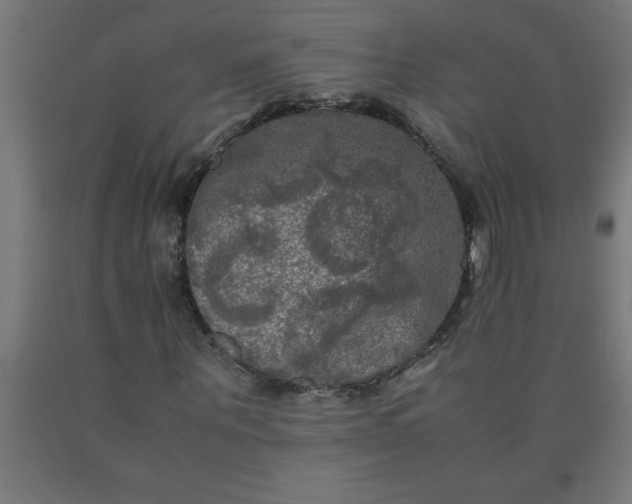 X0000090620867200707311242
