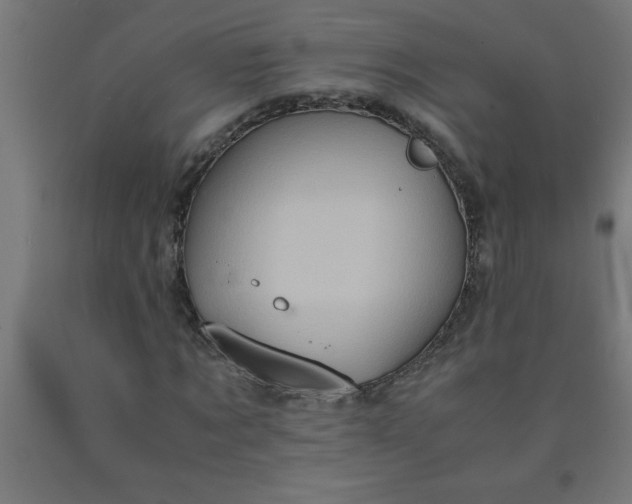 X0000090620869200707311242
