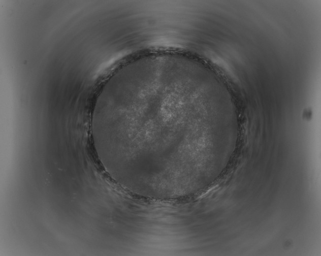 X0000090620870200707311242