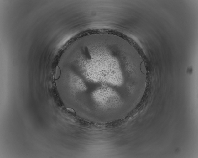 X0000090620871200707311242