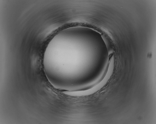 X0000090620872200707311242