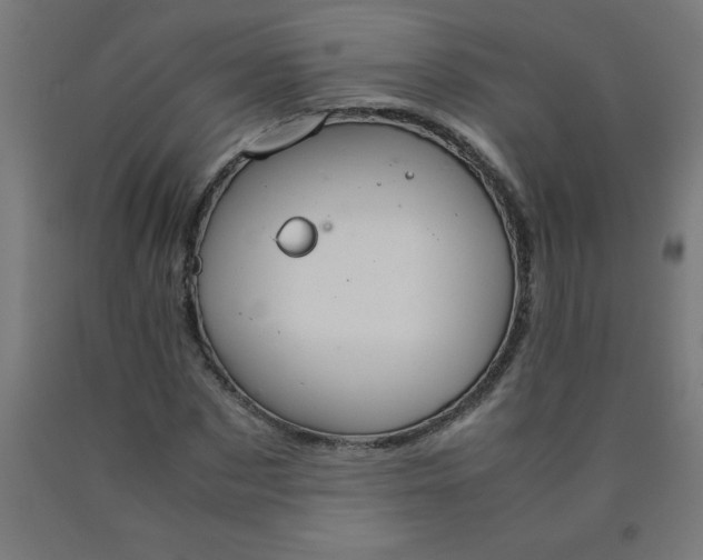 X0000090620873200707311242
