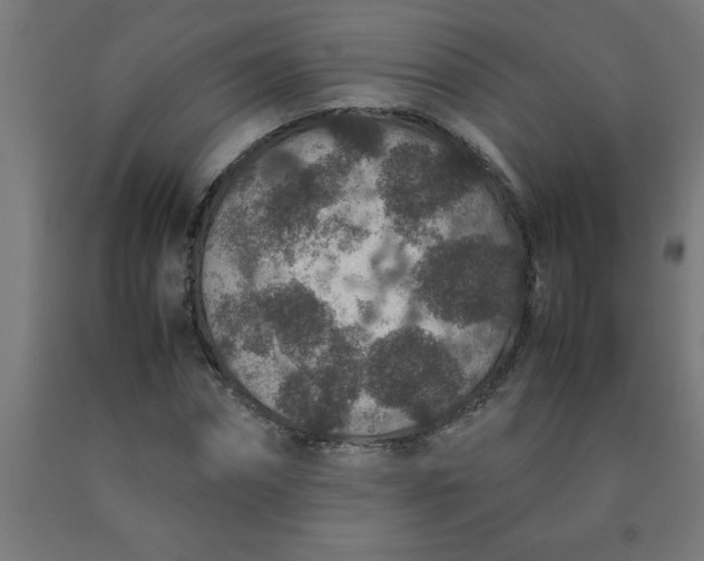 X0000090620874200707311242