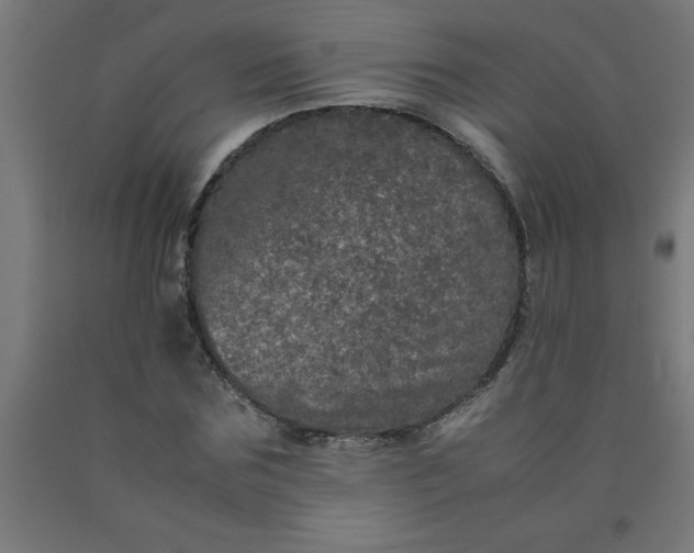 X0000090620875200707311242