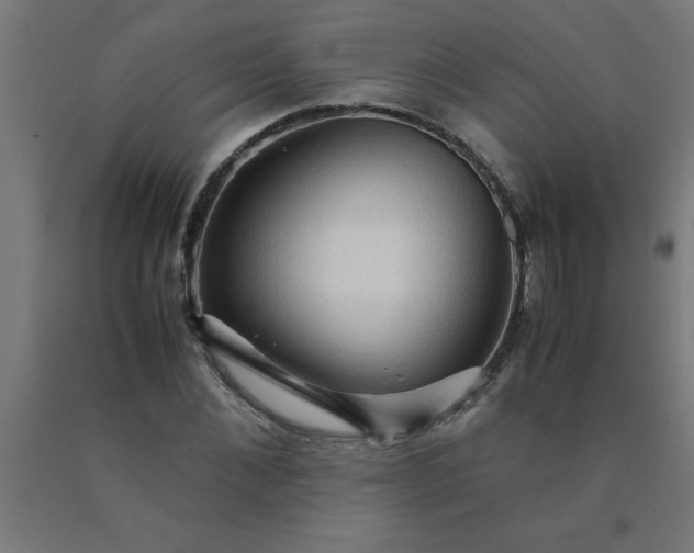 X0000090620876200707311242