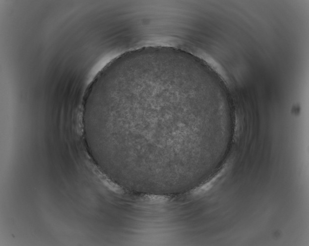 X0000090620878200707311242