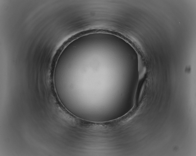 X0000090620880200707311242