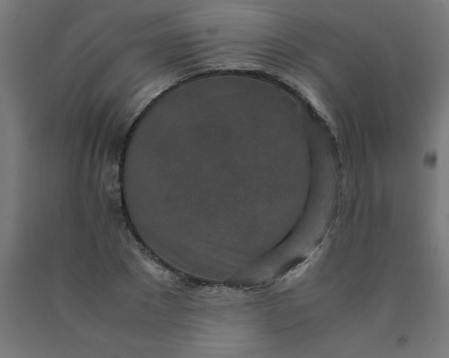 X0000090620881200707311241