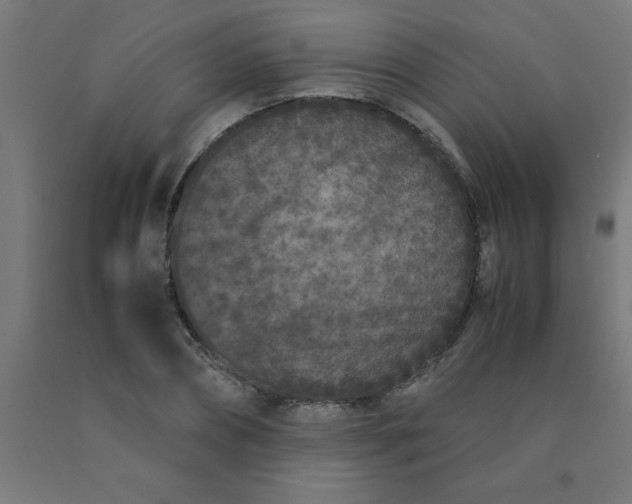 X0000090620882200707311241