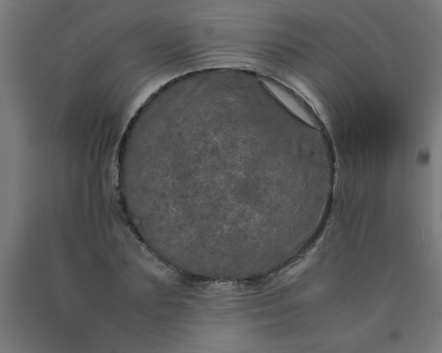 X0000090620883200707311241