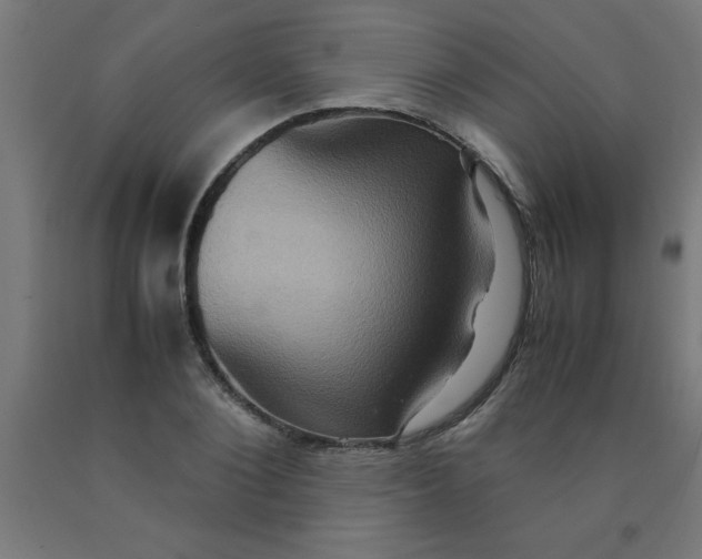 X0000090620884200707311241