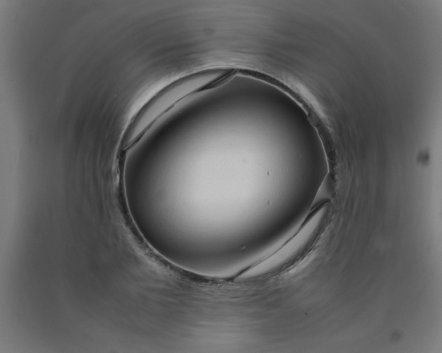 X0000090620885200707311241