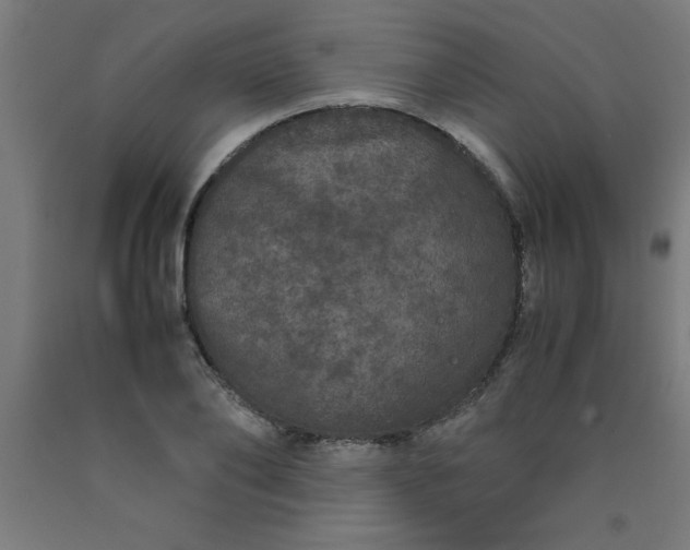 X0000090620886200707311241