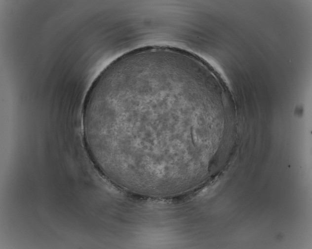X0000090620887200707311241