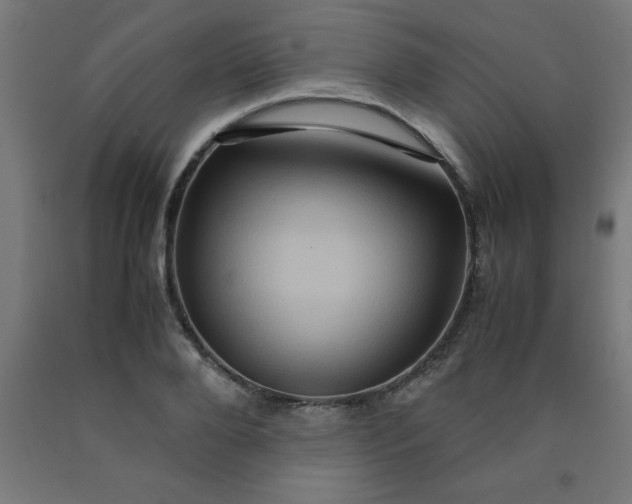 X0000090620888200707311241
