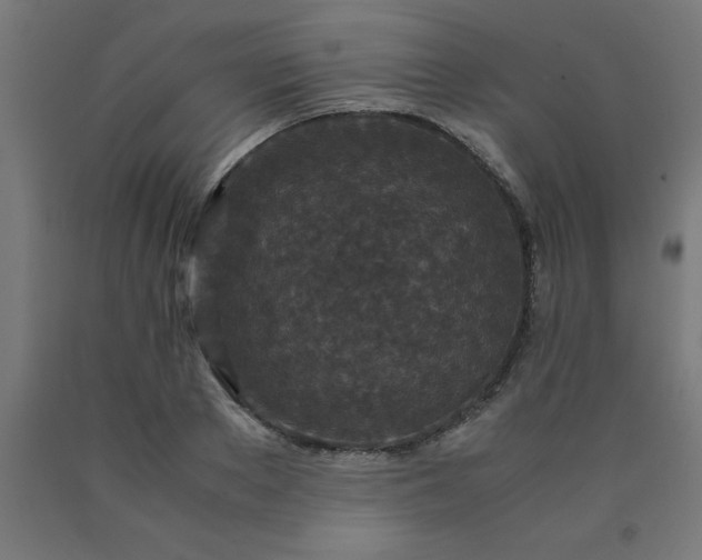X0000090620889200707311241